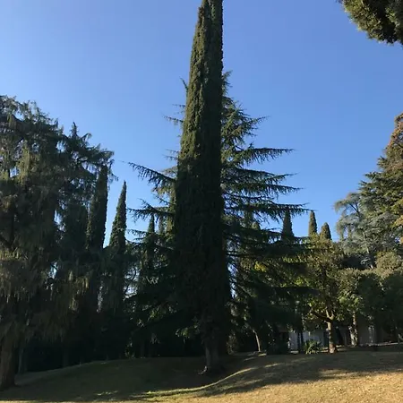 Apartment A Due Passi Dal Vittoriale Degli Italiani Gardone Riviera
