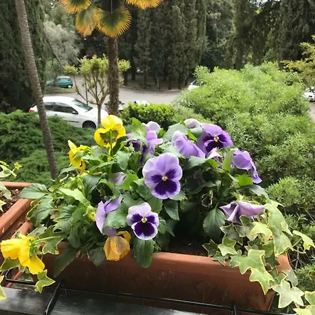 A Due Passi Dal Vittoriale Degli Italiani