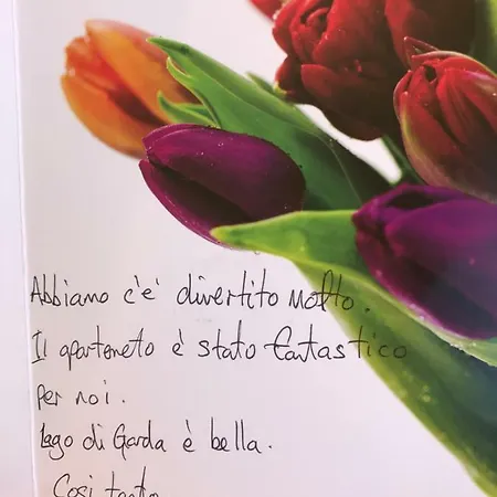 A Due Passi Dal Vittoriale Degli Italiani Gardone Riviera